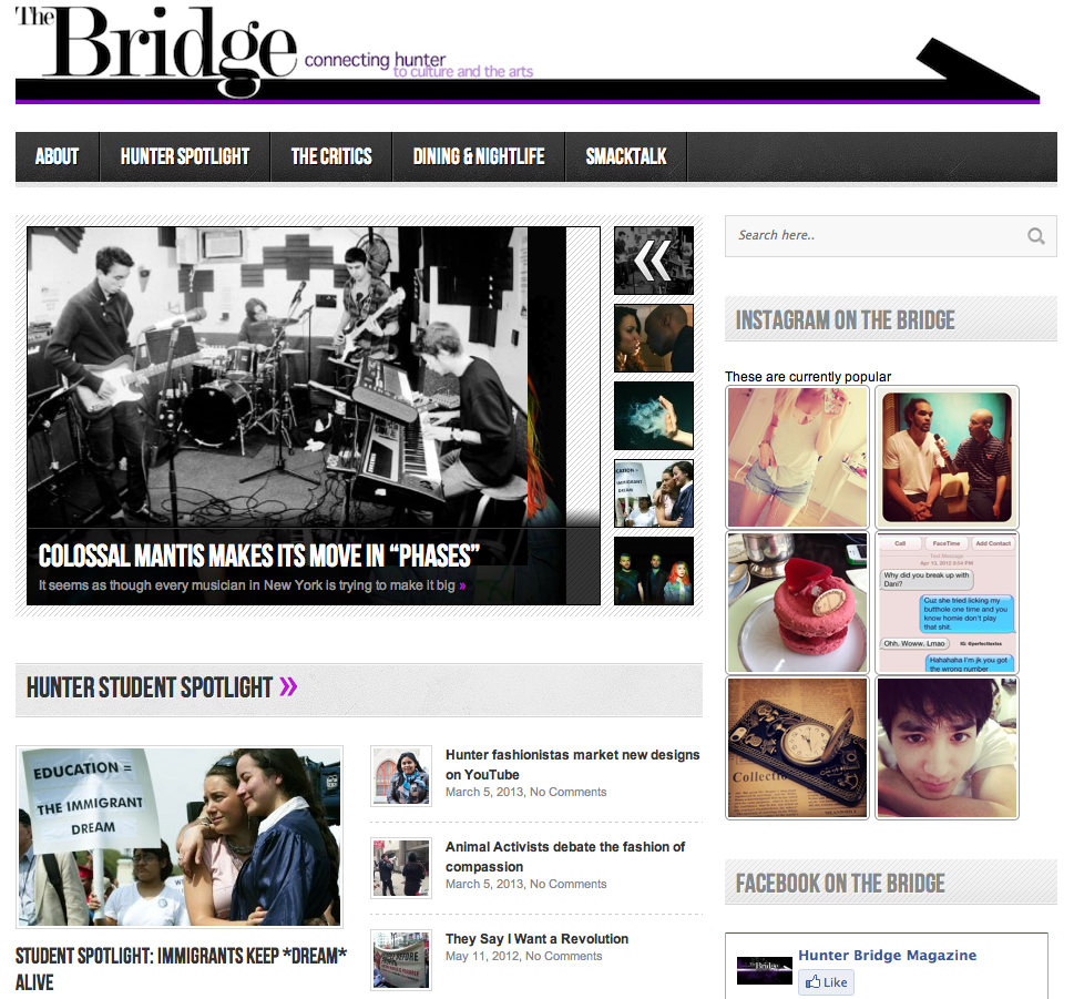 screenshot of the Bridge website